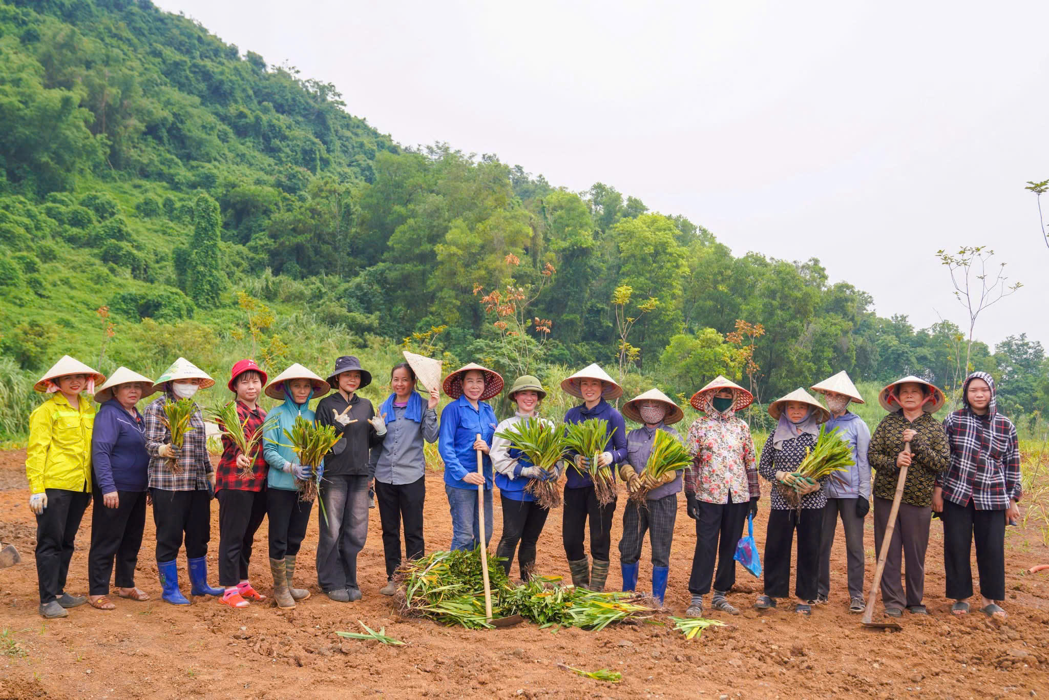 Tìm hiểu Green Day tại Bái Đính
