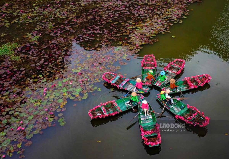 Ninh Bình khai mạc “Sắc Hồng Tam Cốc 2025 – Bản Tình Ca Mùa Thu”